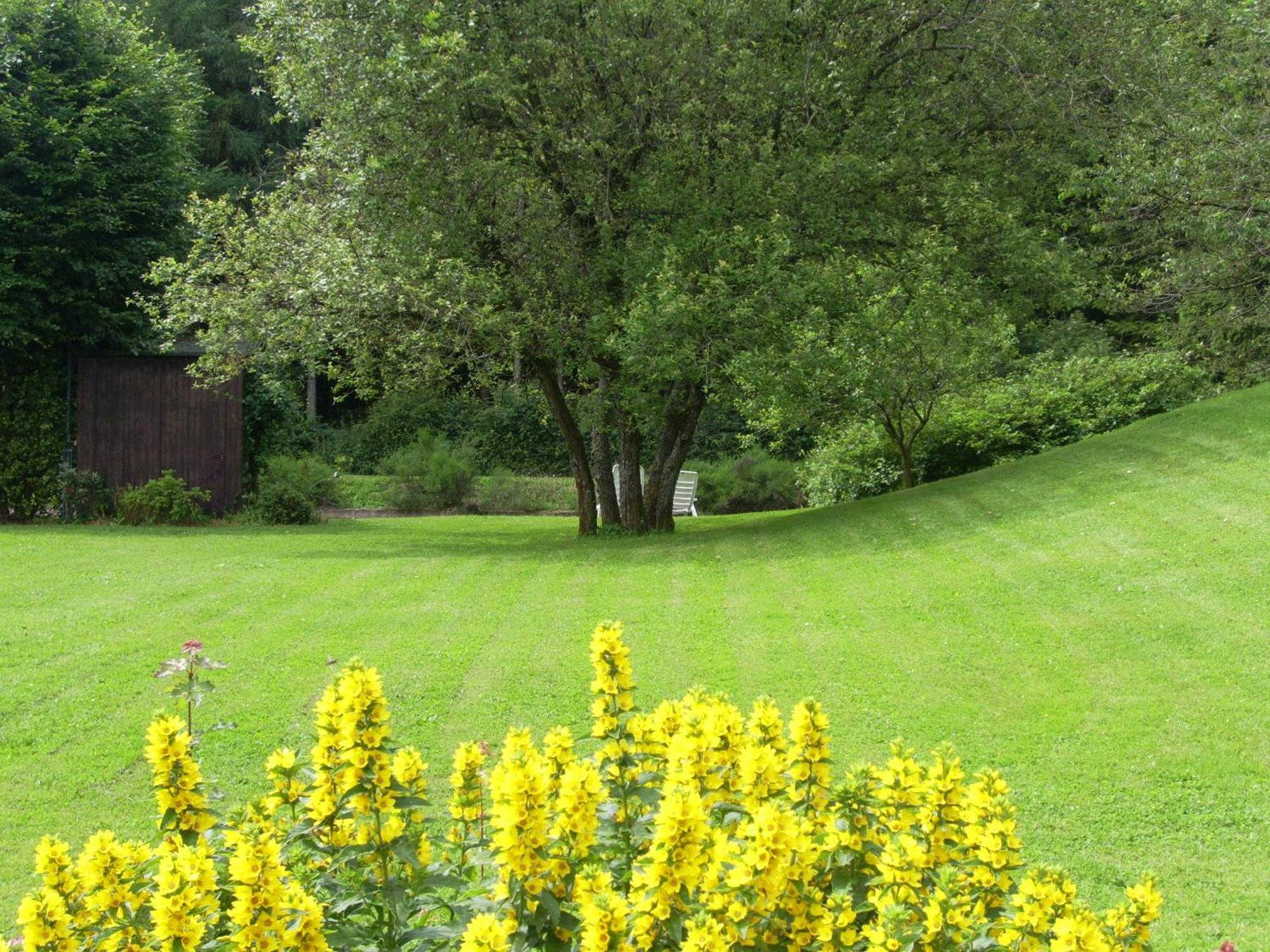 Heidehof Hellenthal Villa Bagian luar foto